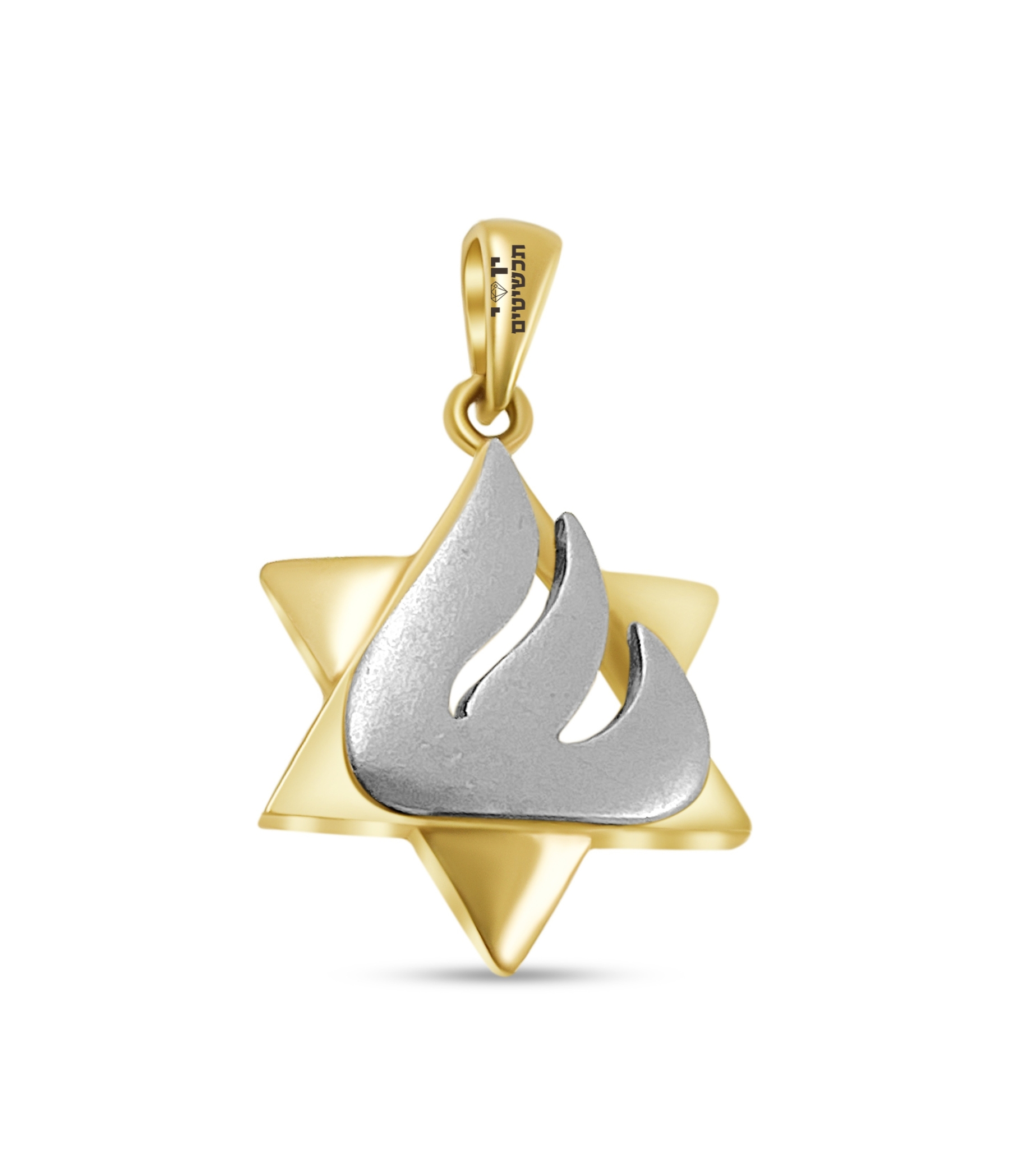 תליון מגן דוד זהב צהוב ולבן 14K עם האות "ש" - JP240 תליון מגן דוד זהב צהוב ולבן 14K עם האות "ש" - JP240