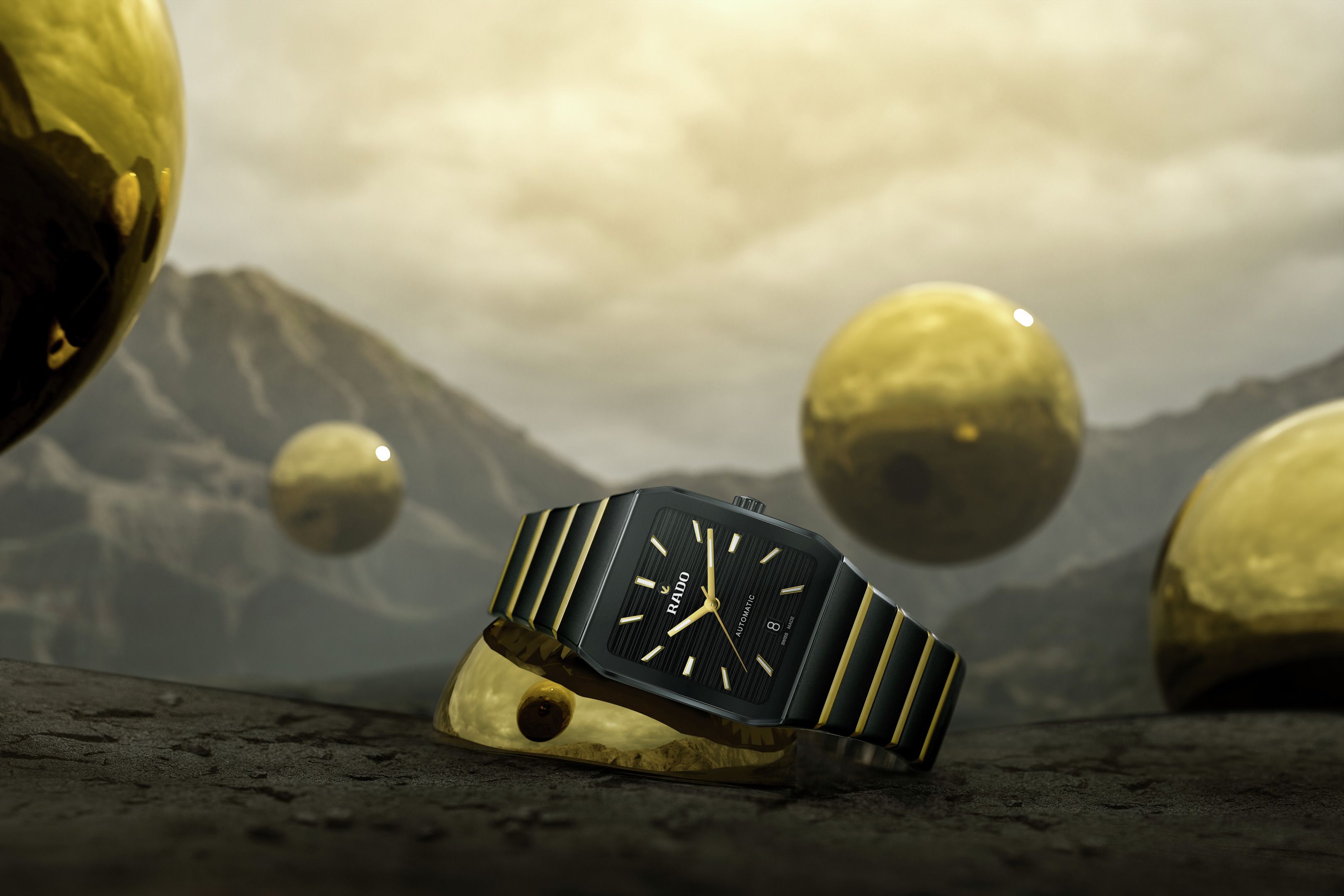 RADO Anatom R10200152 ���� ���� ������ ������ �����